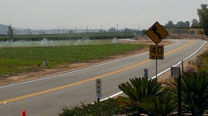 View while bicycle riding in Santa Paula, CA